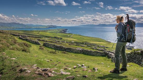 Hillwalk Tours